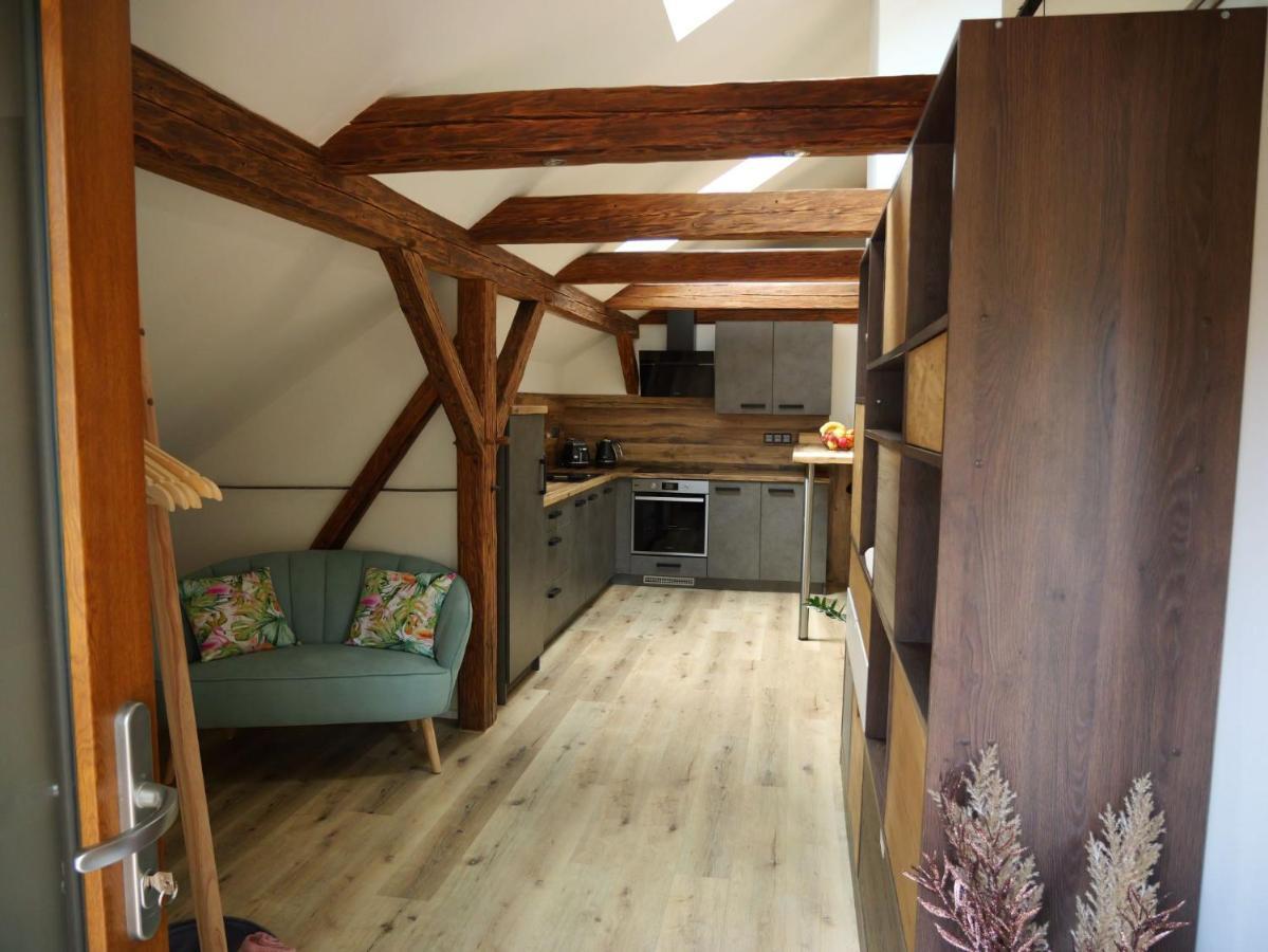 Apartman Danuse Česká Lípa Екстериор снимка
