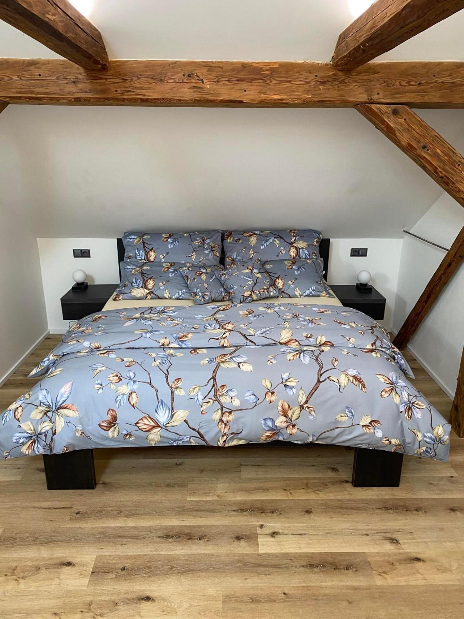 Apartman Danuse Česká Lípa Екстериор снимка
